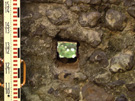 City Wall Survey
