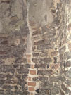 City Wall Survey