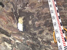 City Wall Survey
