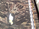 City Wall Survey