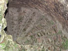 City Wall Survey