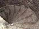 City Wall Survey