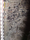 City Wall Survey