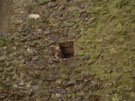 City Wall Survey