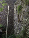 City Wall Survey