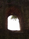 City Wall Survey