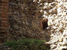 City Wall Survey