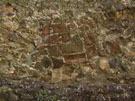 City Wall Survey
