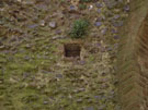 City Wall Survey