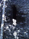 City Wall Survey