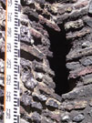 City Wall Survey