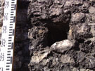City Wall Survey