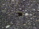 City Wall Survey