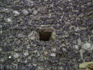 City Wall Survey