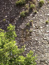 City Wall Survey