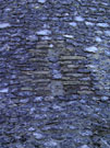 City Wall Survey