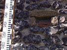 City Wall Survey