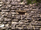 City Wall Survey