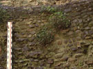 City Wall Survey