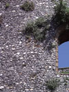 City Wall Survey