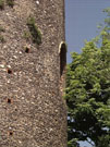 City Wall Survey
