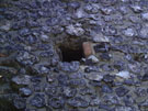 City Wall Survey