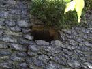 City Wall Survey