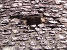 City Wall Survey
