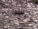 City Wall Survey
