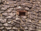 City Wall Survey