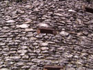 City Wall Survey