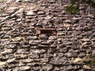 City Wall Survey