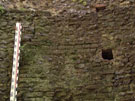 City Wall Survey