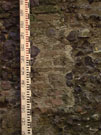City Wall Survey