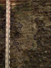 City Wall Survey