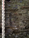 City Wall Survey