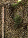 City Wall Survey