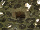 City Walls Survey