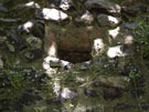 City Walls Survey