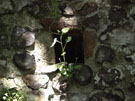 City Walls Survey