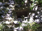 City Walls Survey