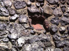City Walls Survey