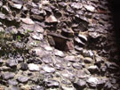 City Walls Survey