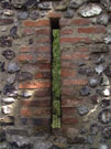 City Walls Survey