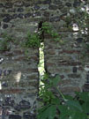 City Walls Survey
