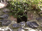 City Walls Survey