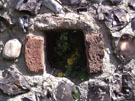 City Walls Survey