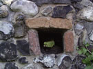 City Walls Survey
