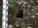 City Walls Survey