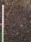 City Walls Survey